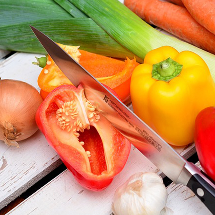 Opens page 'Kochen Sie sich gesund!'